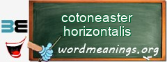 WordMeaning blackboard for cotoneaster horizontalis